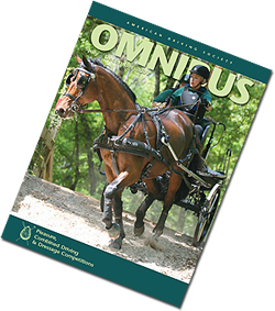 07 fall omnibus cover