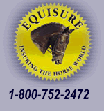 equisure logo